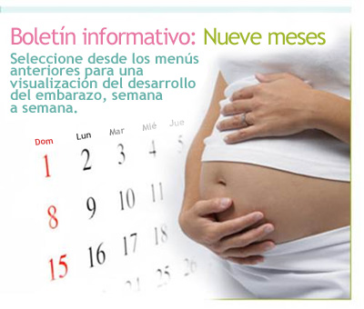 Boletín 9 meses