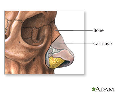 Normal anatomy