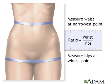 Waist-to-hip ratio