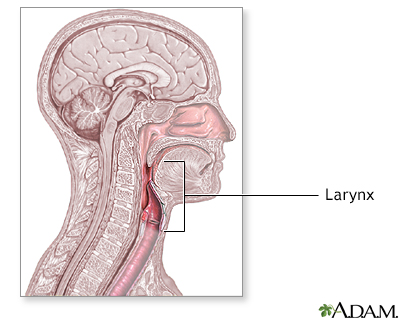 Laryngoscopy - series