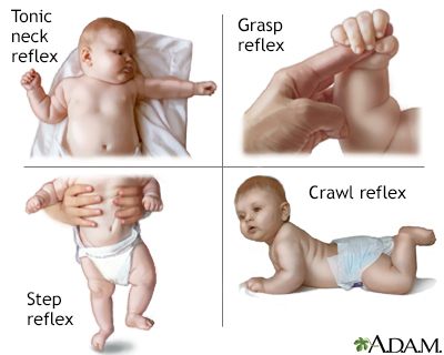 Infantile reflexes