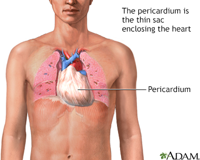 Pericardium