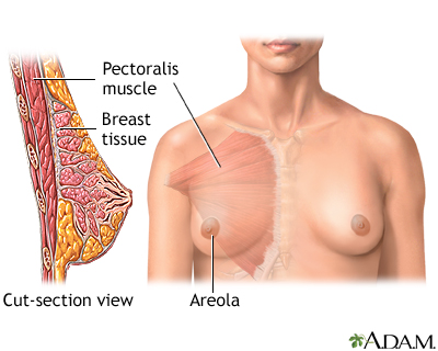 Normal anatomy