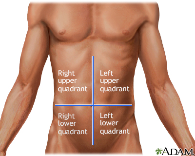 Abdominal quadrants