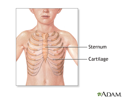 Normal anatomy