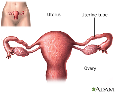 Tubal ligation - uterine anatomy