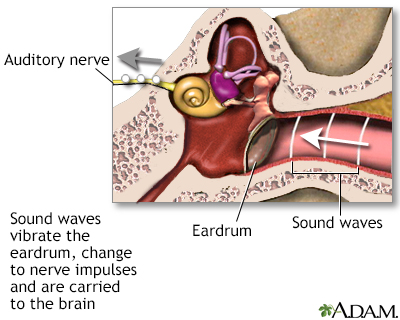 Sense of hearing