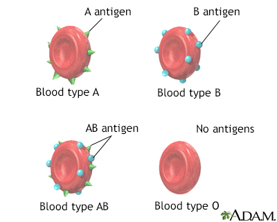 Different Blood Types and What They Mean