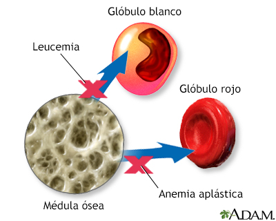 Indicacione