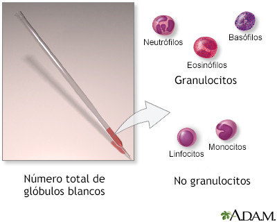 Conteo de glóbulos blancos - serie