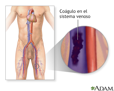 Indicaciones (primera parte)