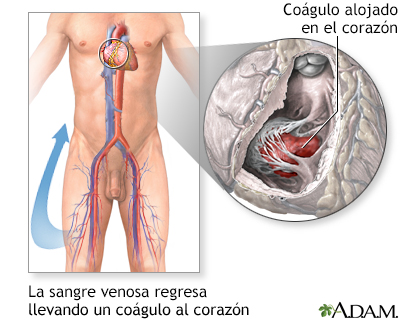 Indicaciones (segunda parte)