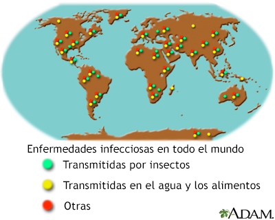 Enfermedades infecciosas y viajeros