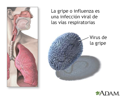 Farmacia El Socorro - Aderogyl para niños previene las gripes y ayuda a  tratar las enfermedades comunes de la época lluviosoa. Además fortalece el  sistema respiratorio y las defensas, para evitar que