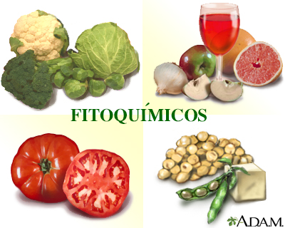 Fitoquímicos