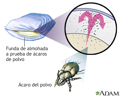 Funda de almohada a prueba de ácaros del polvo