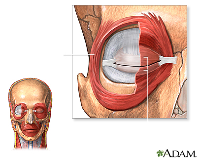 Músculos oculares