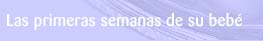 Las primeras semanas de su bebé