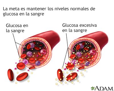 Glucosa en la sangre