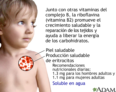 Beneficios de la vitamina B2