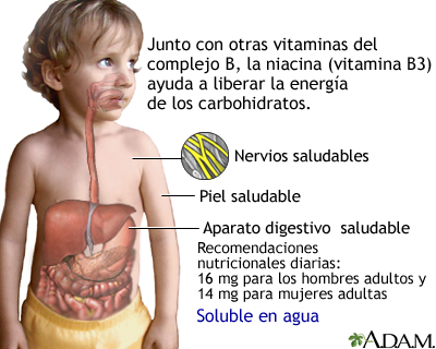 Beneficios de la vitamina B3