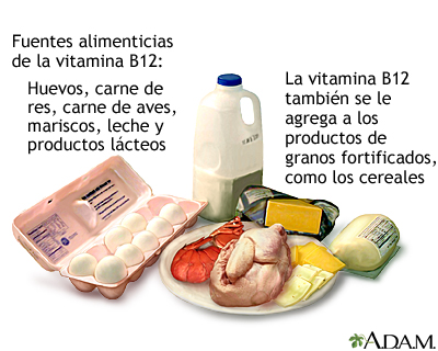 Fuentes de vitamina B12