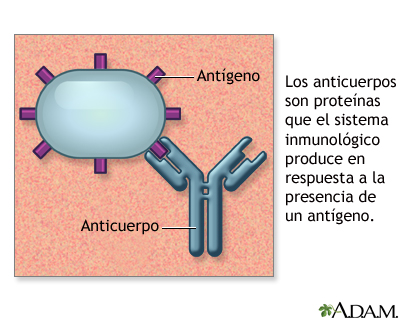 Anticuerpos