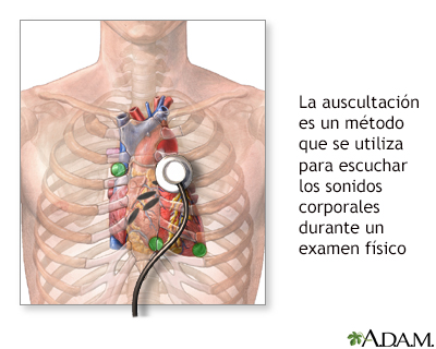 Auscultación