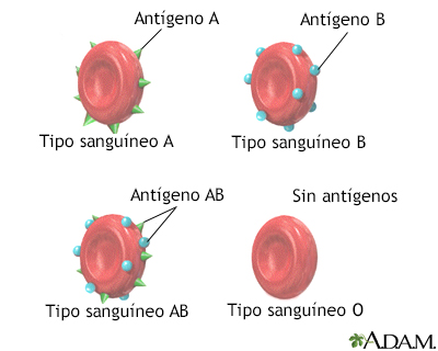 Tipos sanguíneos