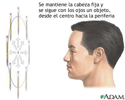 Examen del músculo ocular