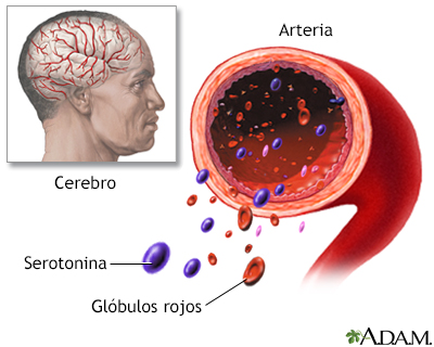 Captación de serotonina