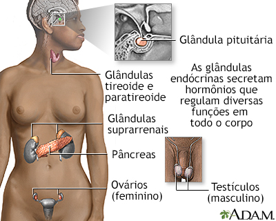 Glândulas endócrinas