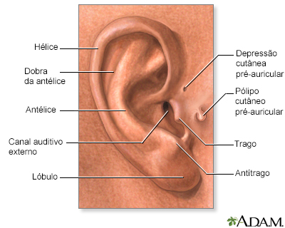 Achados médicos com base na anatomia da orelha