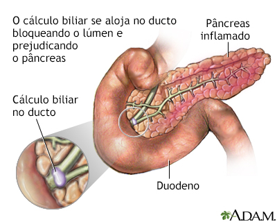 Indicação