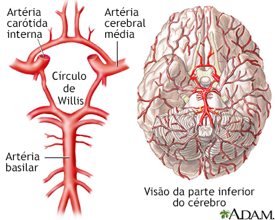 Círculo de Willis