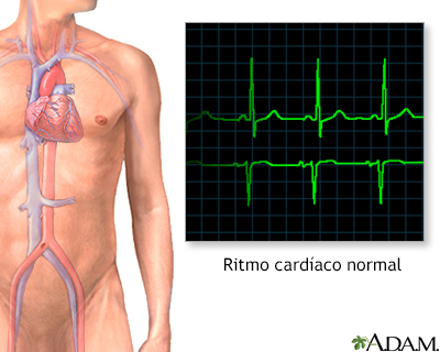 Ritmo cardíaco normal