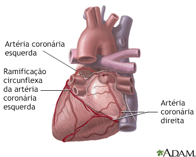 Artérias cardíacas posteriores