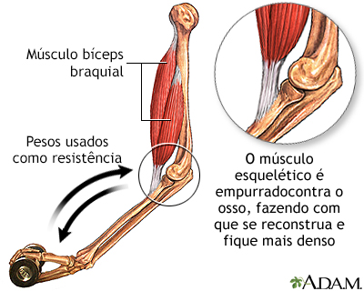 Exercício de desenvolvimento ósseo