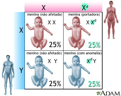 Anomalias genéticas recessivas ligadas ao X