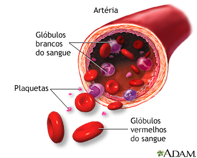 Elementos sanguíneos formados