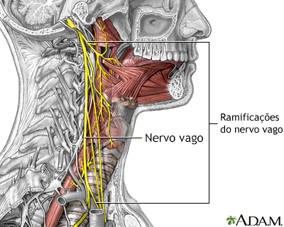 Papel do nervo vago na epilepsia