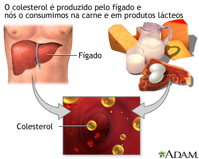 Produtores de colesterol