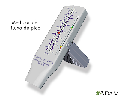 Medidor de pico de fluxo