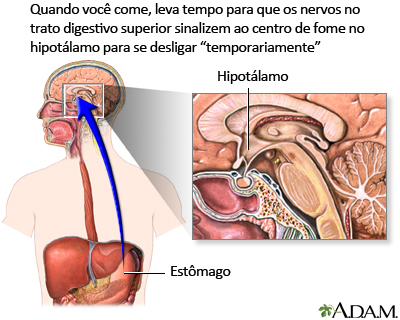 Centro da fome no cérebro