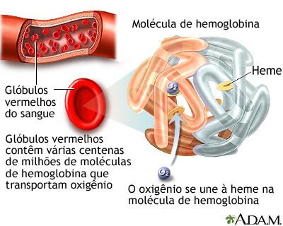 Hemoglobina