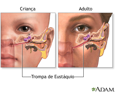 Trompa de Eustáquio