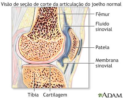 Líquido sinovial