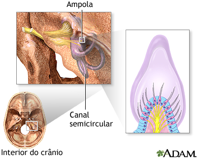 Receptores sensoriais