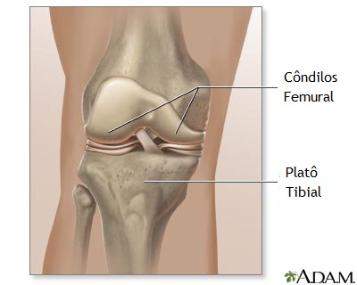 Normal anatomy