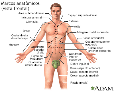 Marcos anatômicos de adultos – frontal